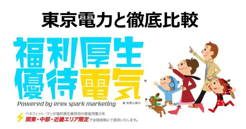fukurikouseiyutaidenki-price